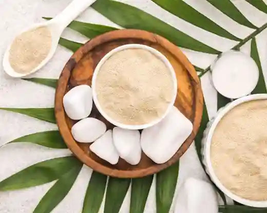Colágeno Tipo II